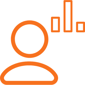 analyst role