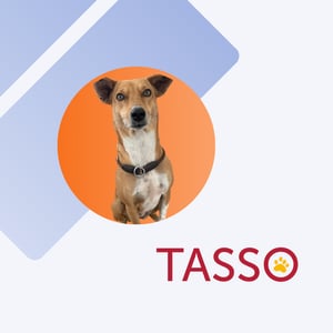 TASSO e. V. Bürohund
